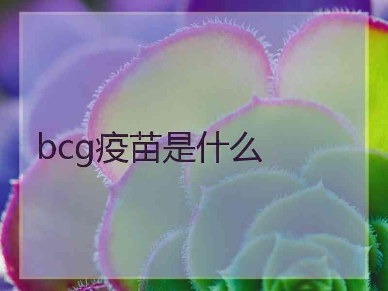 bcg疫苗是什么