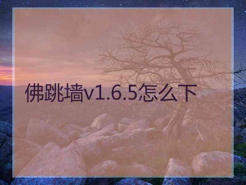 佛跳墙v1.6.5怎么下