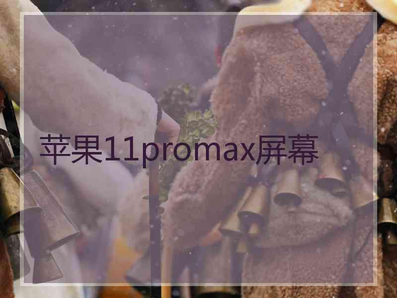 苹果11promax屏幕