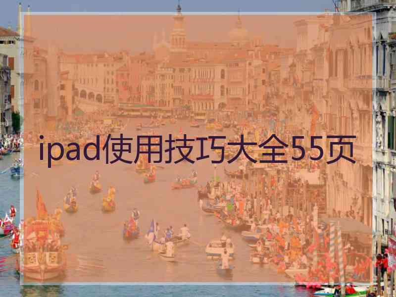 ipad使用技巧大全55页