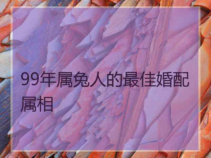 99年属兔人的最佳婚配属相