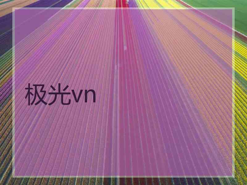 极光vn