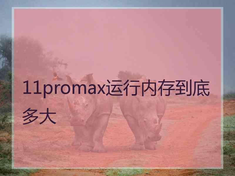 11promax运行内存到底多大