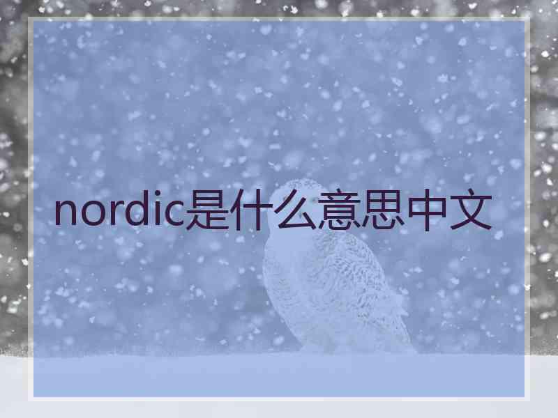 nordic是什么意思中文