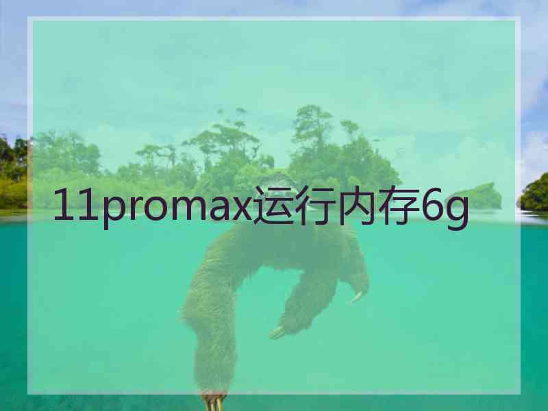 11promax运行内存6g