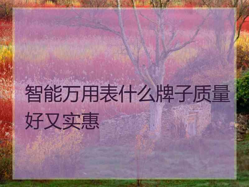 智能万用表什么牌子质量好又实惠