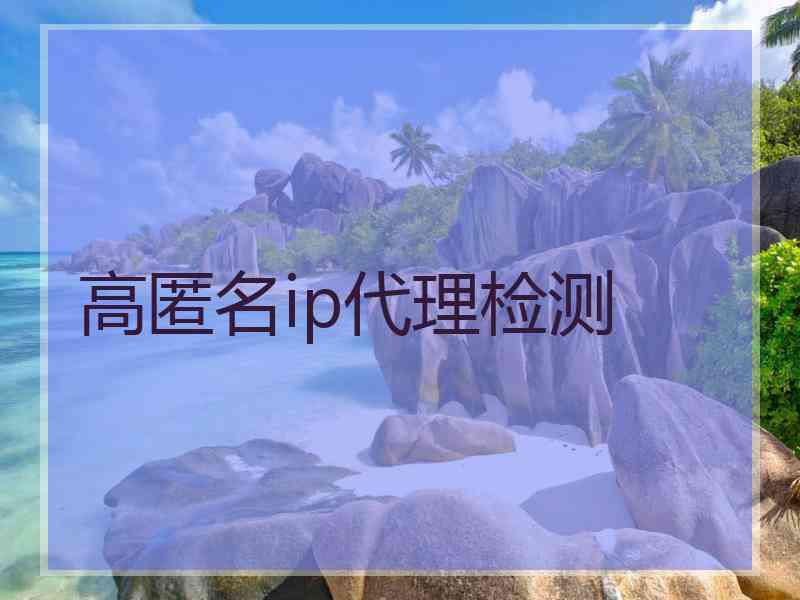 高匿名ip代理检测