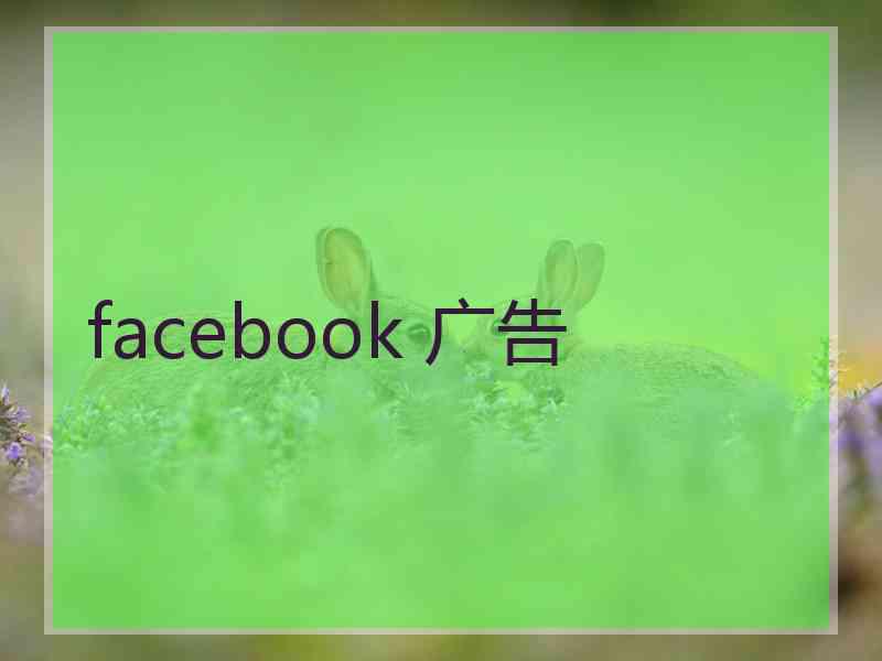 facebook 广告