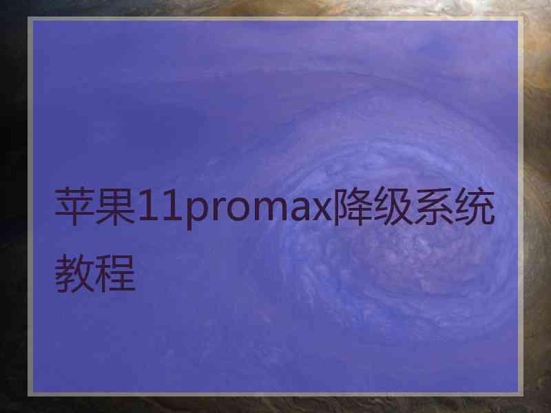 苹果11promax降级系统教程