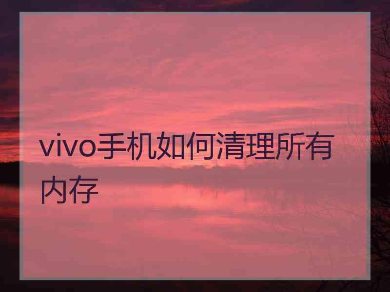 vivo手机如何清理所有内存