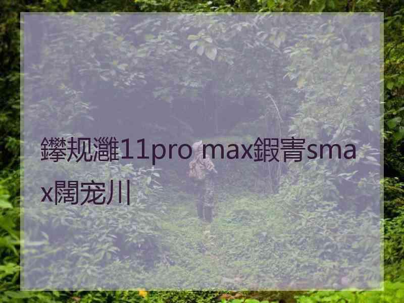 鑻规灉11pro max鍜寈smax闊宠川