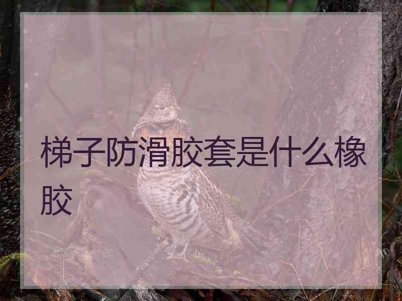 梯子防滑胶套是什么橡胶