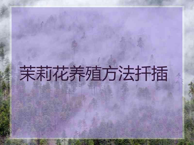 茉莉花养殖方法扦插