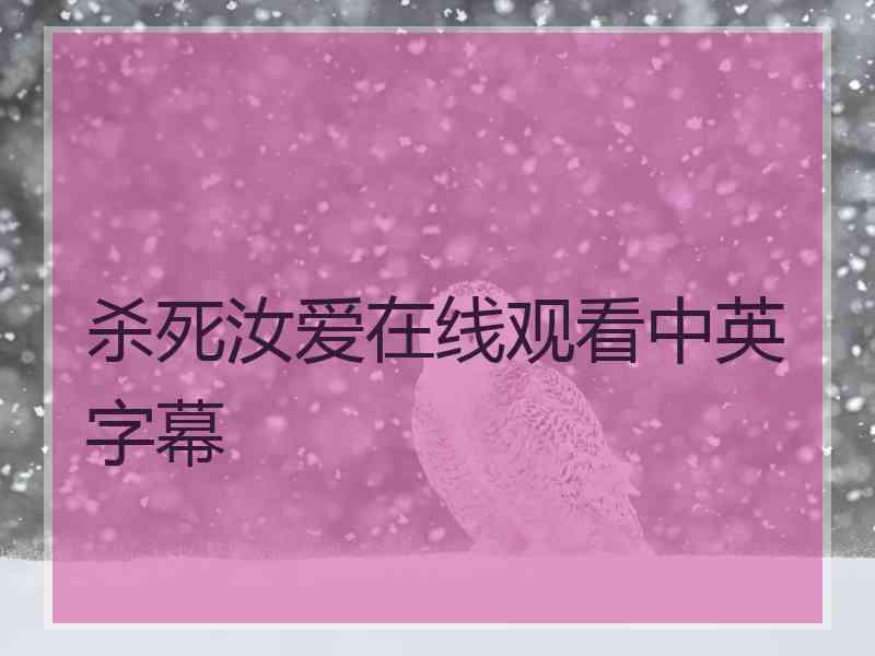 杀死汝爱在线观看中英字幕