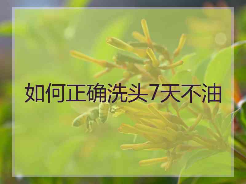 如何正确洗头7天不油