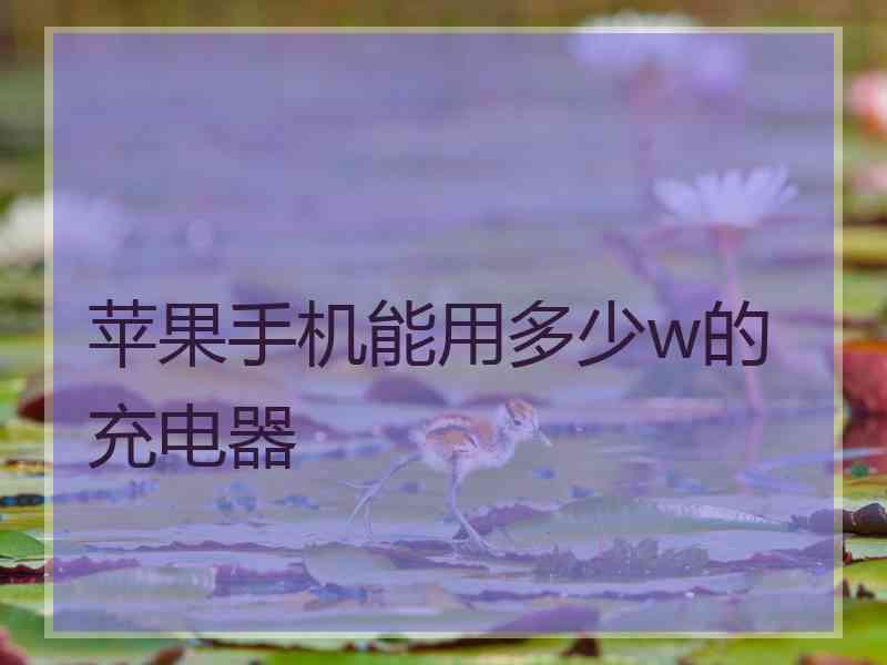 苹果手机能用多少w的充电器