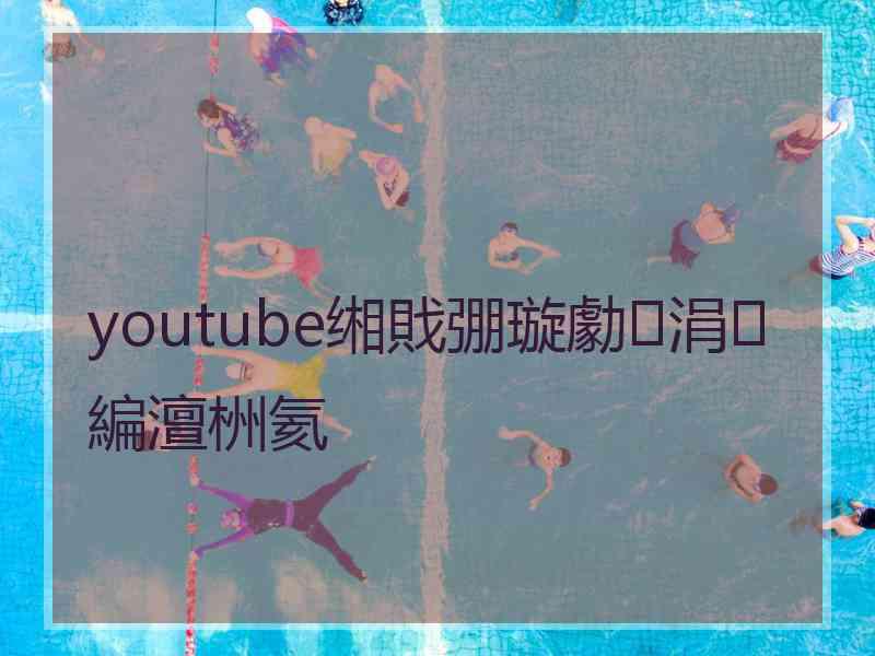 youtube缃戝弸璇勮涓編澶栦氦