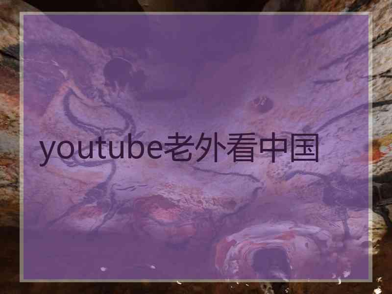 youtube老外看中国