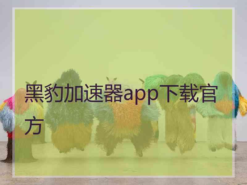 黑豹加速器app下载官方