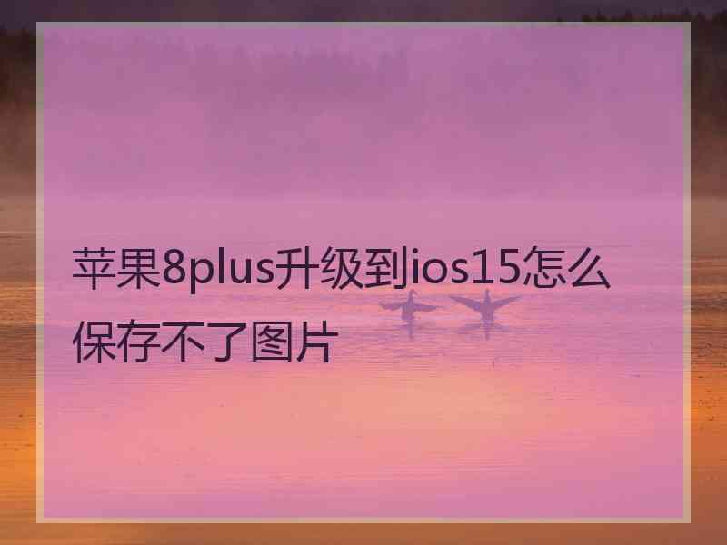 苹果8plus升级到ios15怎么保存不了图片