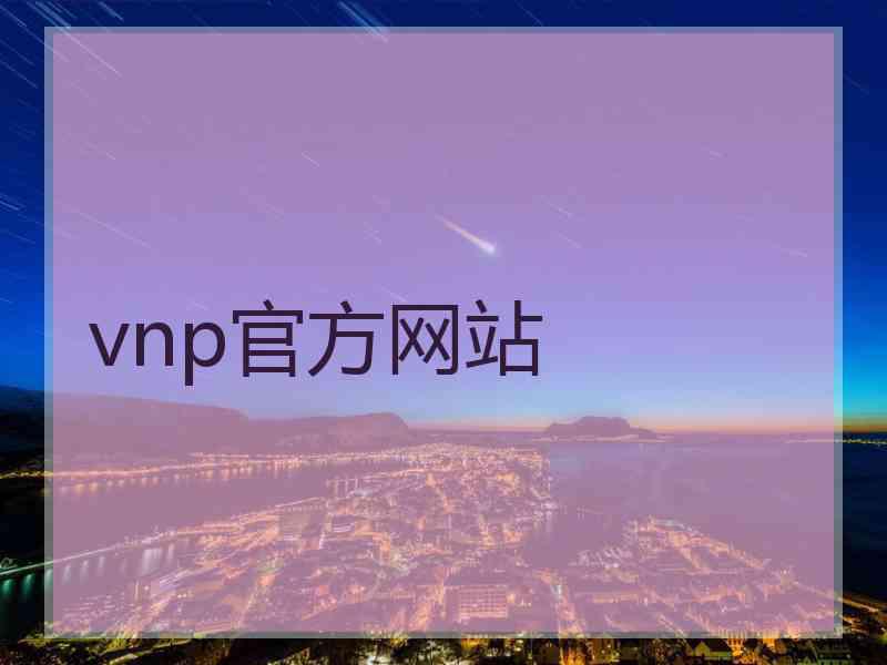 vnp官方网站