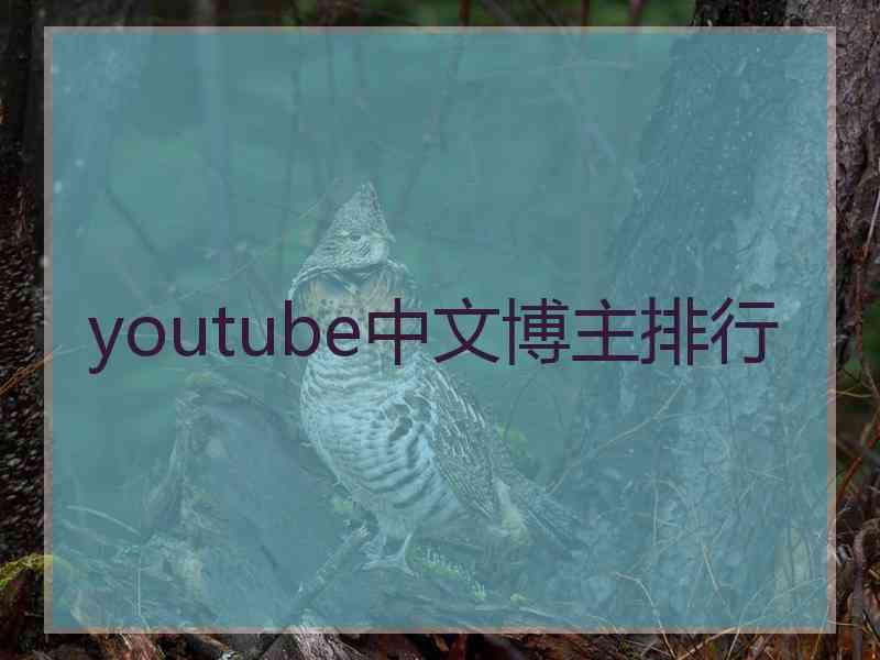 youtube中文博主排行