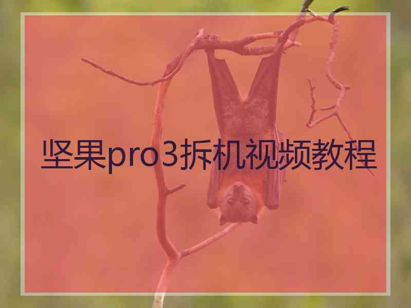 坚果pro3拆机视频教程