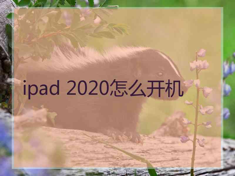 ipad 2020怎么开机