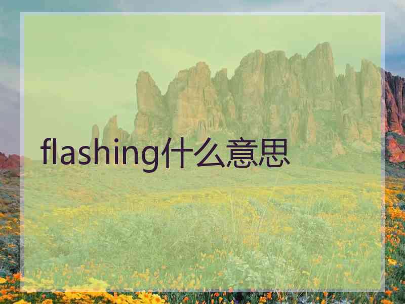 flashing什么意思