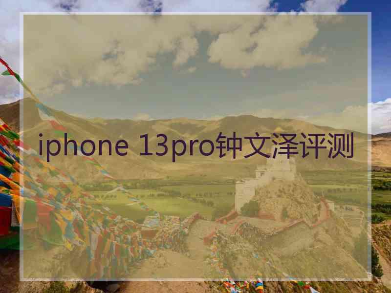 iphone 13pro钟文泽评测