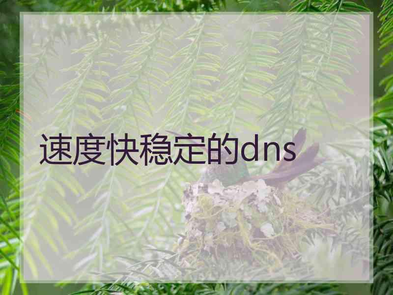 速度快稳定的dns