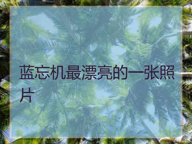 蓝忘机最漂亮的一张照片