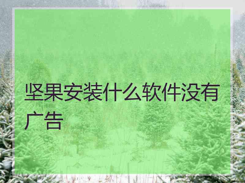 坚果安装什么软件没有广告