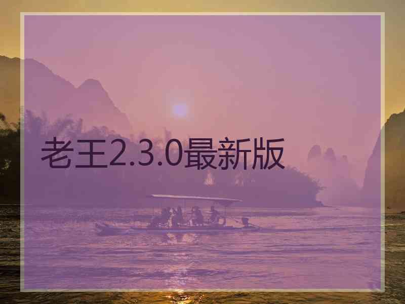 老王2.3.0最新版