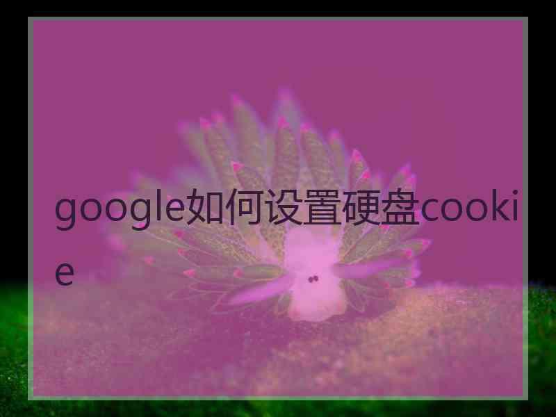 google如何设置硬盘cookie