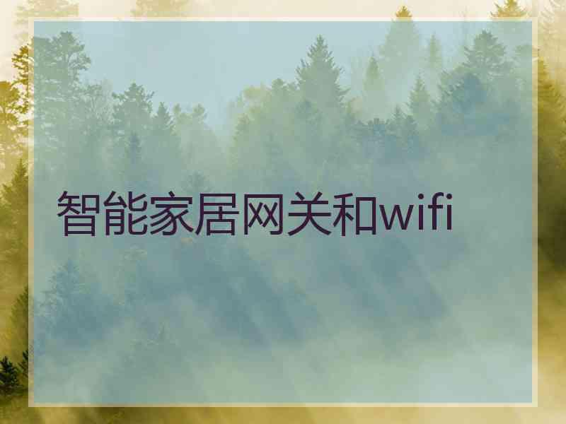 智能家居网关和wifi