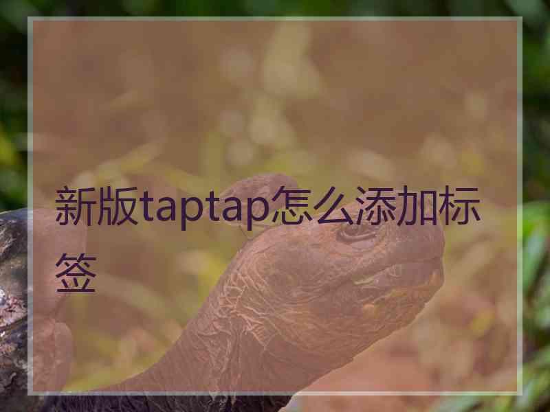 新版taptap怎么添加标签