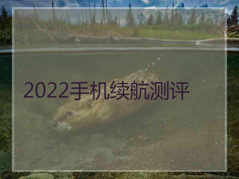 2022手机续航测评