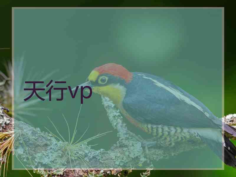 天行vp