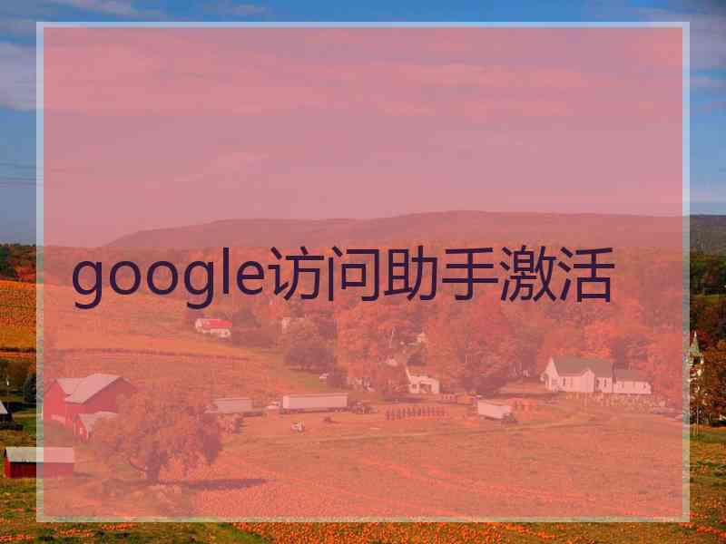 google访问助手激活