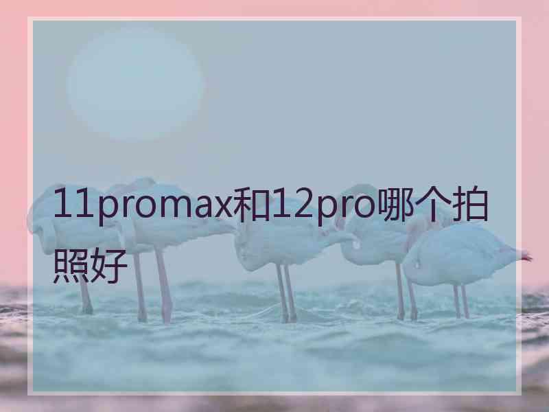 11promax和12pro哪个拍照好