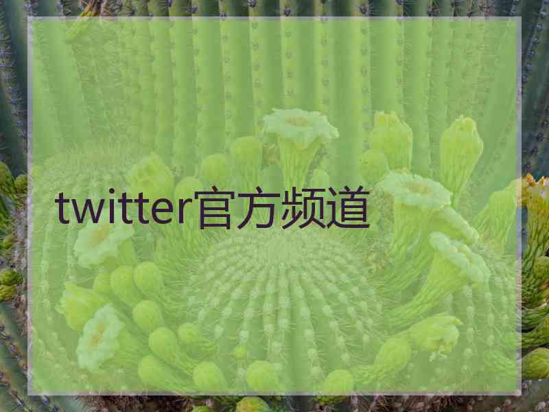 twitter官方频道