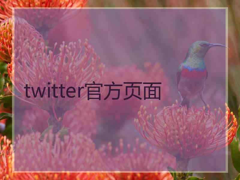 twitter官方页面