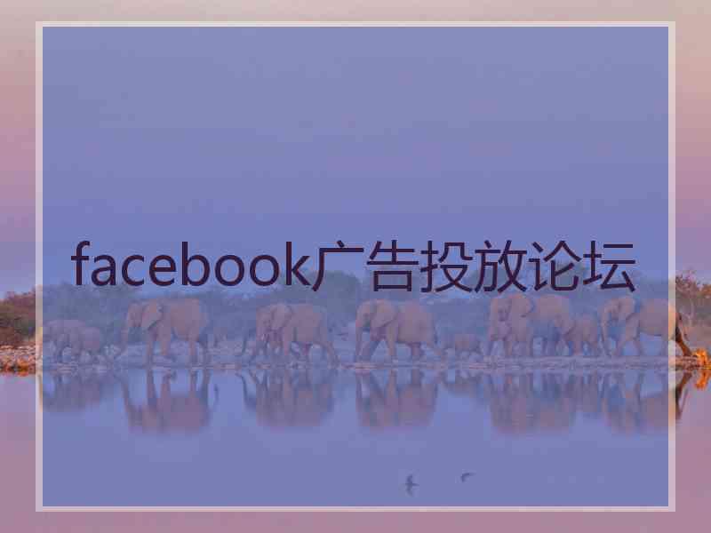 facebook广告投放论坛