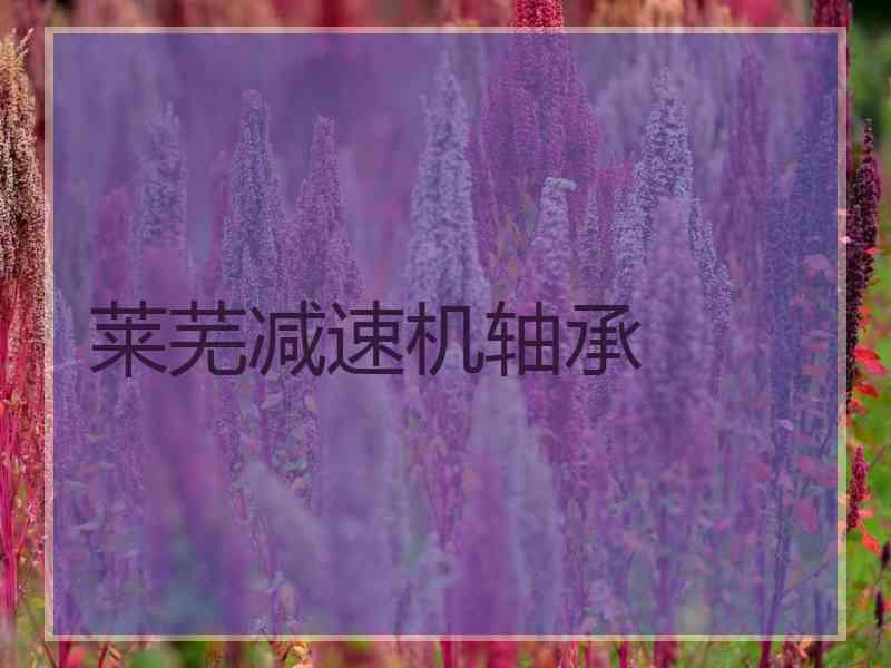 莱芜减速机轴承