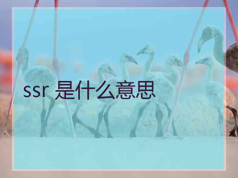 ssr 是什么意思