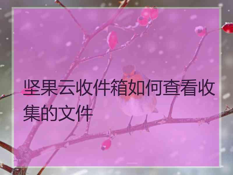 坚果云收件箱如何查看收集的文件