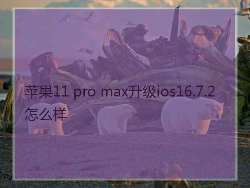 苹果11 pro max升级ios16.7.2怎么样