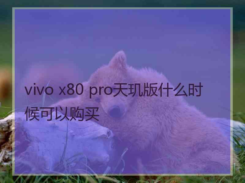 vivo x80 pro天玑版什么时候可以购买