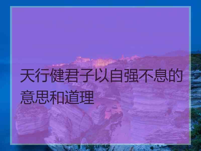 天行健君子以自强不息的意思和道理